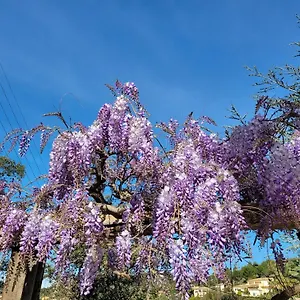 Dans En Rez De Jardin Appartement Hyères